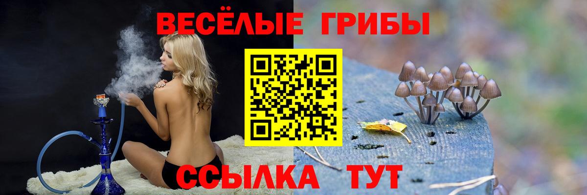 Галлюциногенные грибы мухоморы Стрежевой